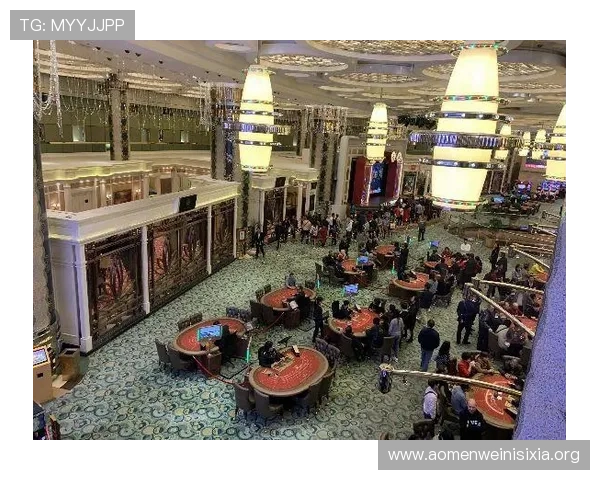 新濠博亚(澳门)股份有限公司：在国际市场中树立澳门娱乐平台良好品牌形象的策略思考