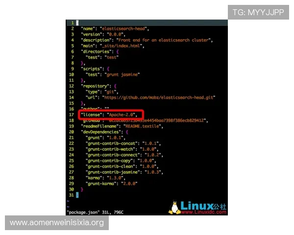 澳门凯旋官网下载最新版本更新内容及安装步骤全攻略