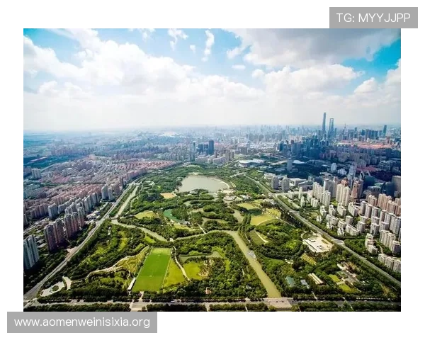 澳门娱乐场2008年影响力扩展与旅游经济带动作用详解